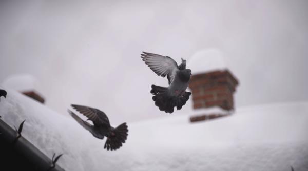 prognoza meteo pentru intervalul 16 29 ianuarie 2017 nopti geroase