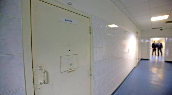 proiect oug se gratiaza in intregime pedepsele cu inchisoare de pana la 5 ani