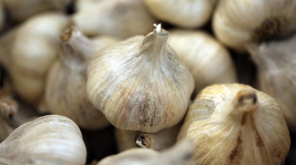 leacuri naturale pentru dureri de spate