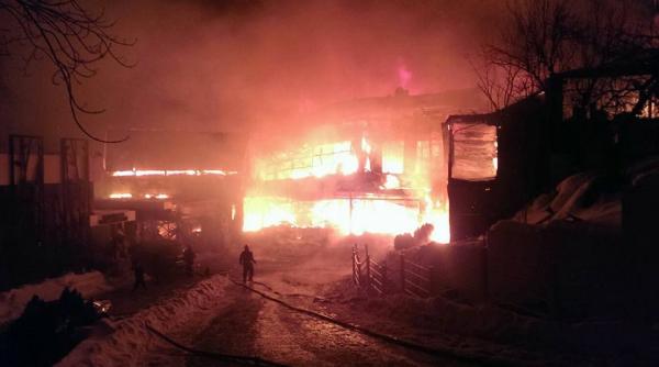 ptb urmarire penala pentru distrugere in cazul incendiului de la bamboo