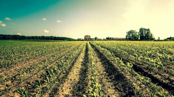 a debutat ancheta structurala in agricultura organizata de ins ce obligatii au persoanele fizice