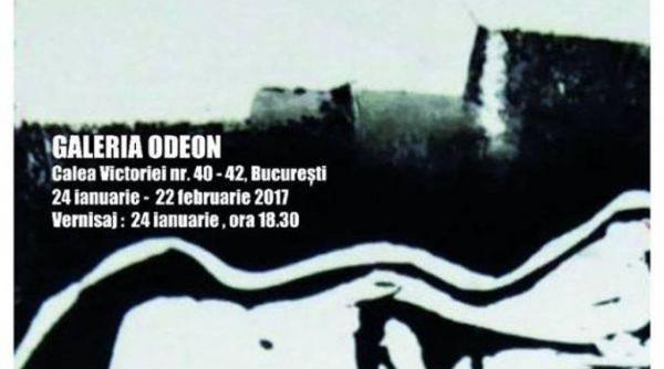 ro expozitie inedita de pictura si grafica