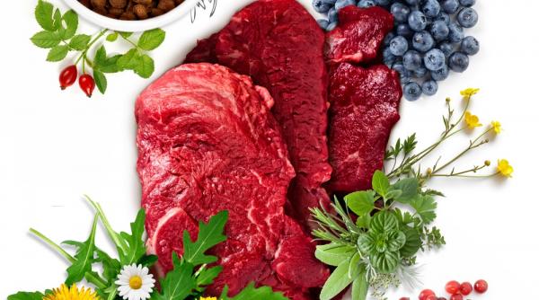 diete sanatoase scapa de 3 kilograme pe zi cu dieta lupului