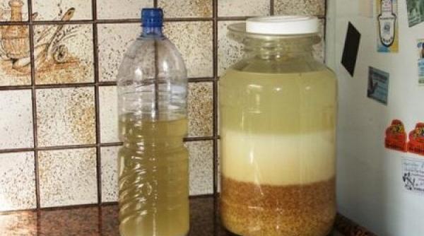 tratamente naturiste borsul de putina remediu pentru zeci de boli