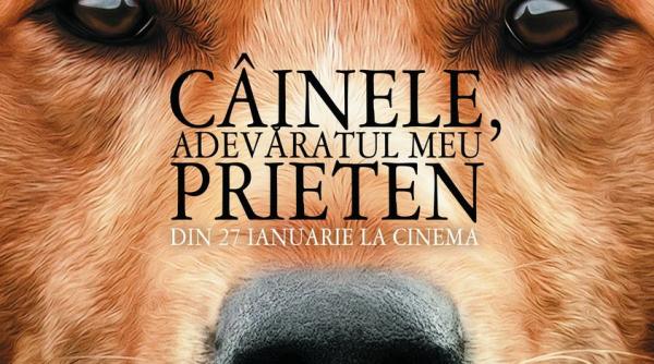concurs castiga bilete la filmul cainele adevaratul meu prieten