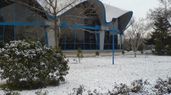 dresura de animale ar putea fi exclusa din obiectul de activitate al circ variete globus bucuresti