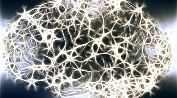 ingredientele care sporesc inteligenta