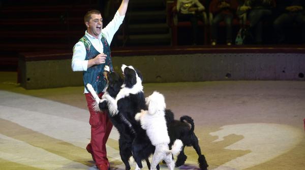 fara animale la circ au decis consilierii capitalei