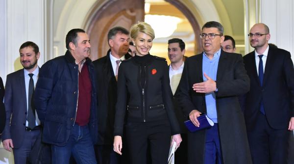 macinati de conflicte liberalii mimeaza opozitia