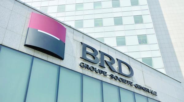 brd pariaza pe piata imobiliara in 2017