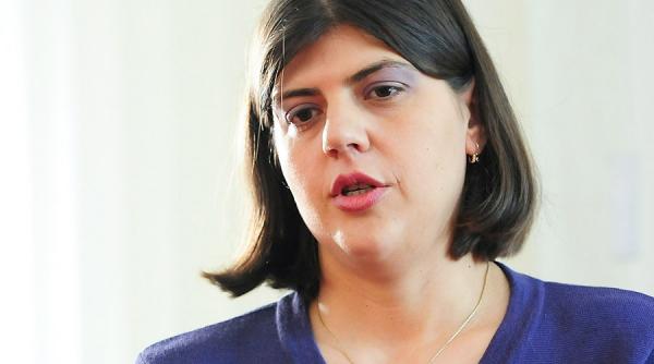 kovesi avea plangerea impotriva guvernului grndeanu dinainte de 31 ianuarie