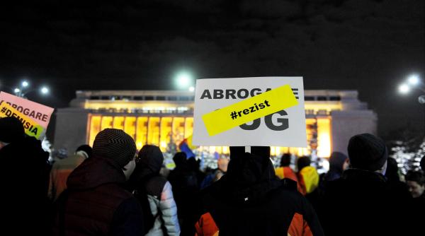 studiu cesip ce profil au protestatarii din piata victoriei