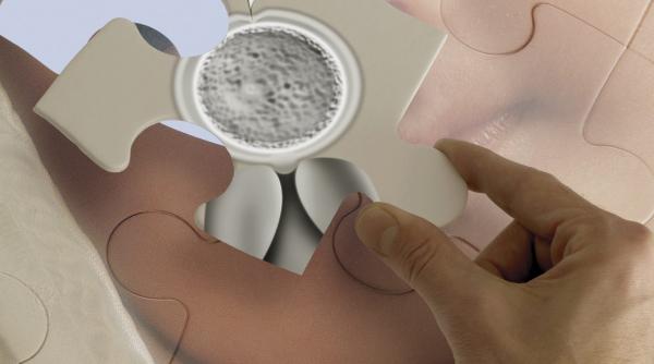 medicii avertizeaza cariera afecteaza fertilitatea