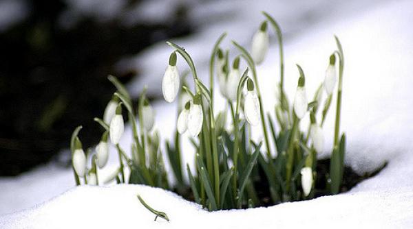 prognoza meteo pentru perioada 13 26 februarie