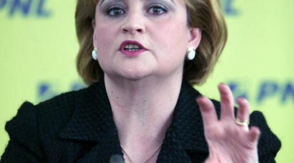 gratiela gavrilescu minstrul delegat pentru relatia cu parlamentul audiata la dna
