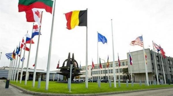 cetatenii a patru state membre nato ar prefera sa ii apere rusia