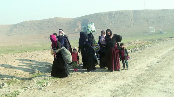 violuri din placere si la comanda comise de si