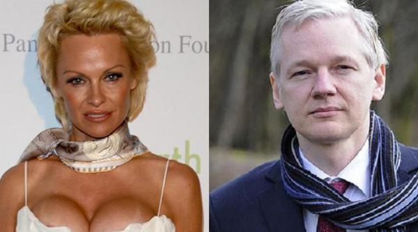 pamela anderson ar avea o relatie cu julian assange