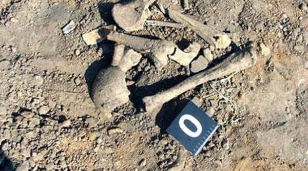 vaslui mai multi muncitori care sapau o fundatie au gasit fragmente de oase criminalistii fac investigatii