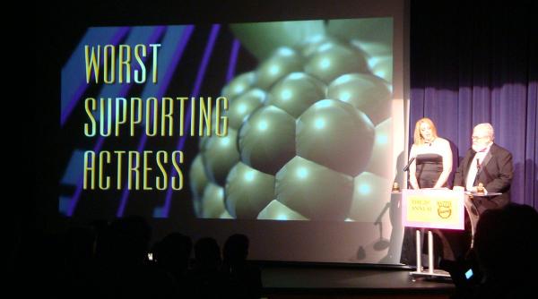 cine a triumfat la premiile zmeura de aur 2017