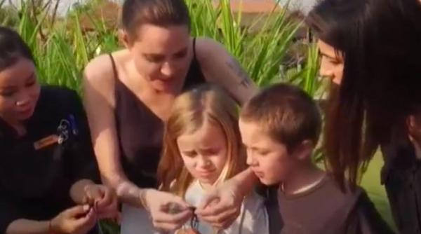 angelina jolie si copiii ei au mancat paianjeni si scorpioni in cambodgia