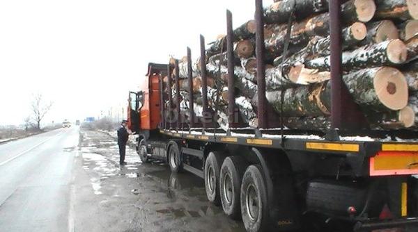 suceava doua transporturi ilegale de lemn interceptate de politisti si garda forestiera