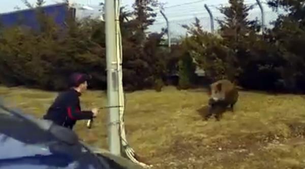 video mai multi mistreti au ajuns in curtea fabricii bergenbier si ploiesti