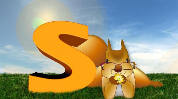 ce semnificatie are numele tau daca incepe cu litera s