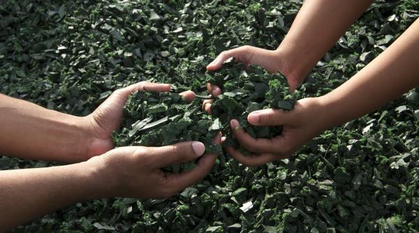 invata de mici sa reduca deseurile menajere