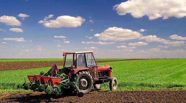 renta viagera 2017 ce trebuie sa faci ca sa nu pierzi banii