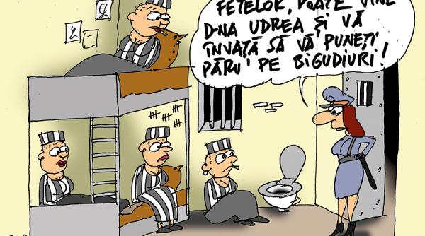 udrea asteapta sentinta