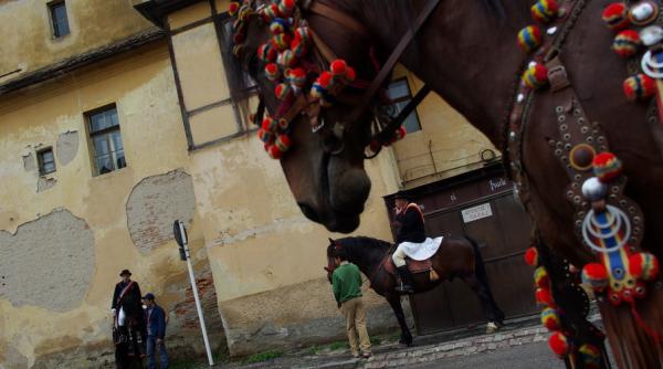 pastele cailor exista si se sarbatoreste la targoviste
