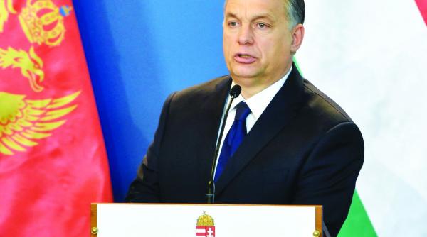 fotografii cu imigranti batuti