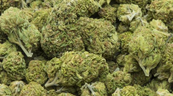 valcea o mama isi folosea copii la vanzarea drogurilor