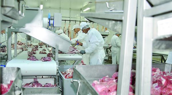 la agricola international amenintarile tin loc de codul muncii