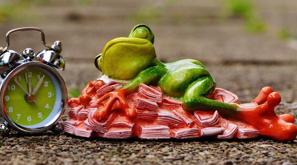 alimentele care te trimit rapid la culcare