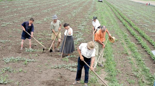 sufocata de 27 de ani de reforme agricultura s a inecat in neghina