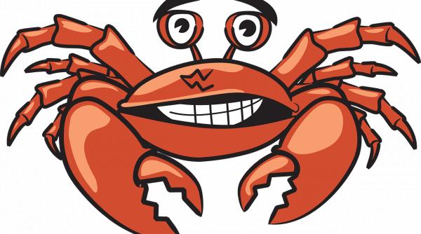 ziua de aur a fiecarei zodii momentul in care iti vor merge toate brici