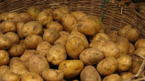 scumpirile continua cartofii si citricele s au scumpit cel mai mult