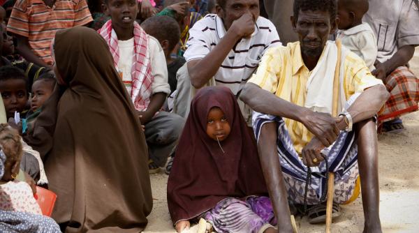 onu ne confruntam cu cea mai mare criza umanitara de la crearea natiunilor unite