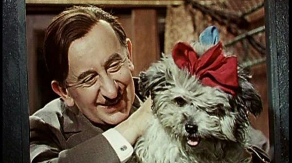 si oamenii mari sunt oameni lectia de perseverenta a lui birlic video