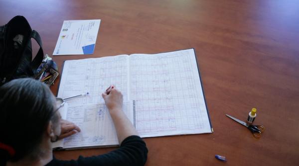 iccj profesorii din invatamantul preuniversitar au calitatea de functionar public