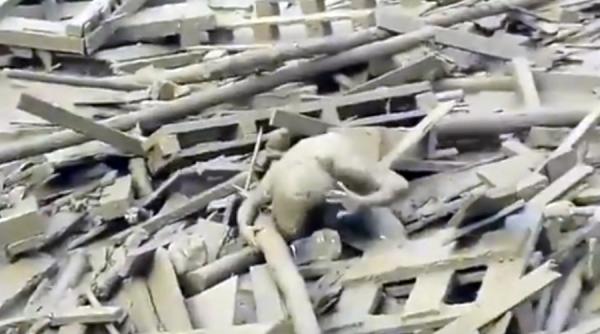 video peru o femeie reuseste miraculos sa scape dintr un rau de noroi