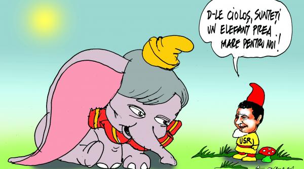 elefantul cici l a bagat in sperieti pe nicusor