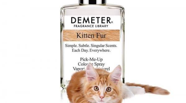 o companie din sua a lansat un parfum cu miros de blana de pisica