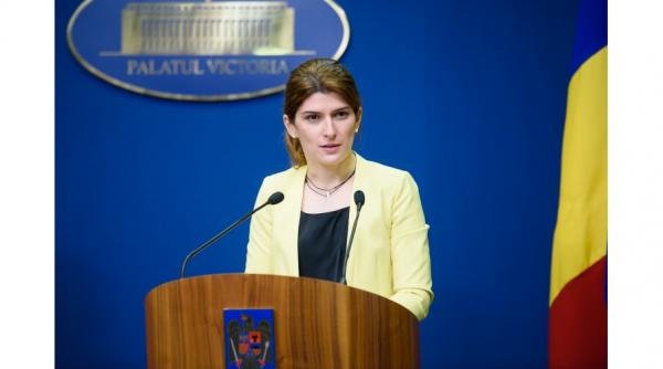 cum a ajuns alina petrescu purtatorul de cuvant al guvernului grindeanu