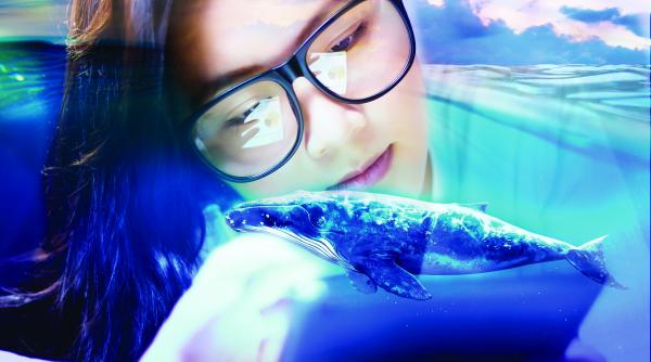 psihiatru parintii adevaratii vinovati de transformarea copiilor in balene albastre