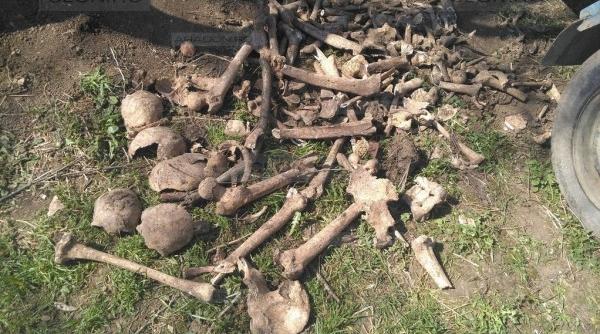 arad oase umane descoperite intr o gospodarie din localitatea mailat