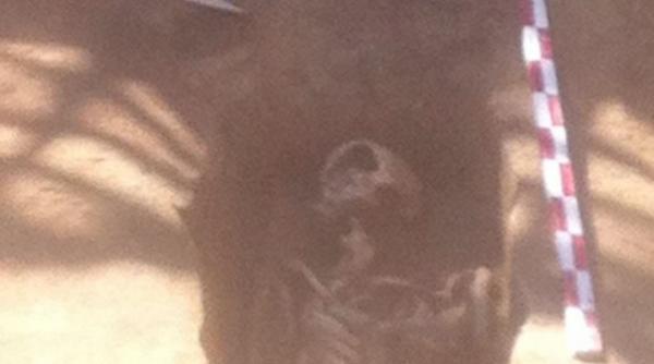 descoperire arheologica importanta in constanta ce au gasit specialistii romani