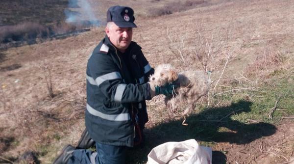 hunedoara un catel inchis intr un sac salvat din flacari de un pompier